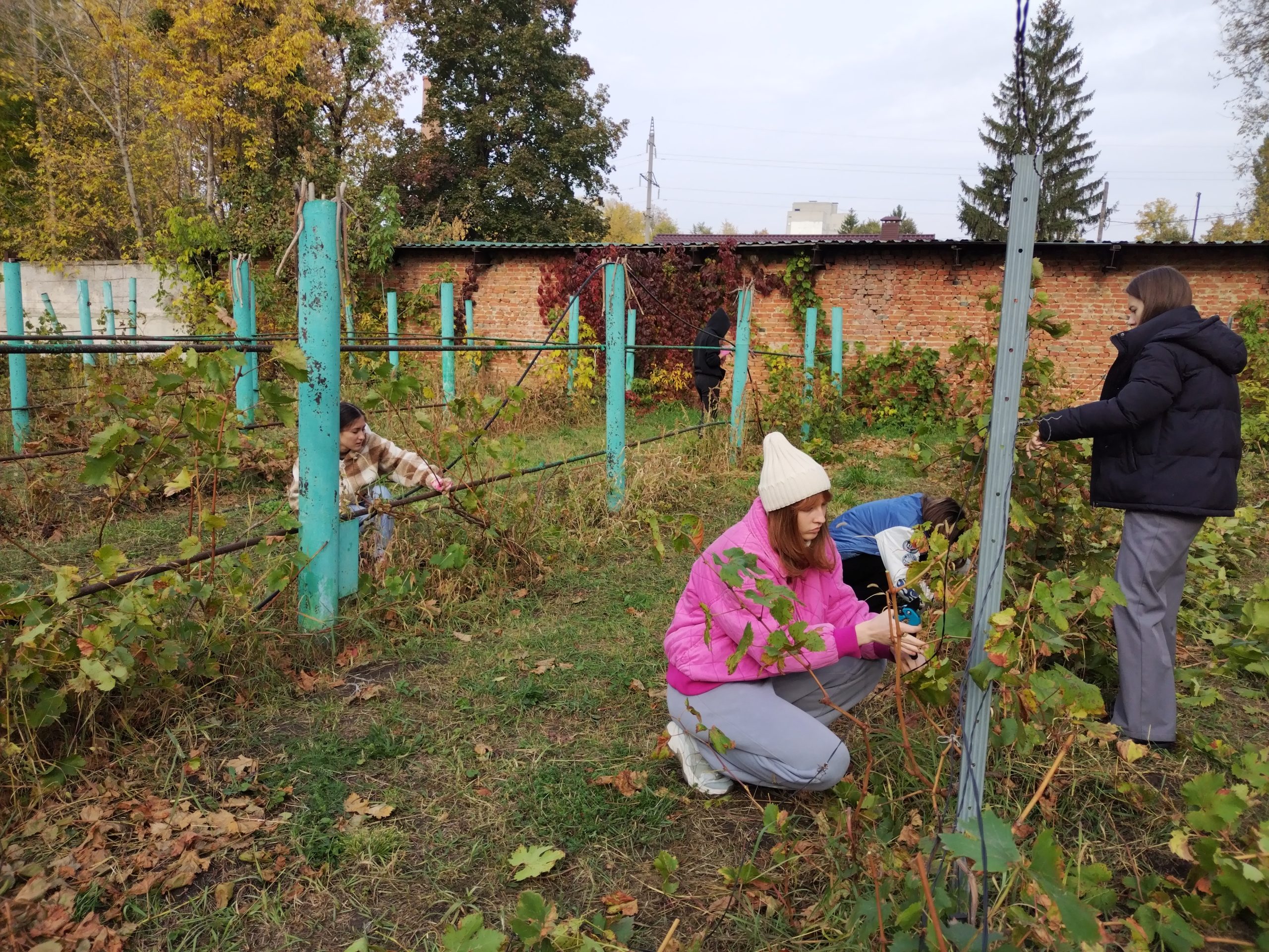 СТРАТ ОБУЧЕНИЯ  УЧАСТНИКОВ СТУДЕНЧЕСКИХ ОТРЯДОВ ПО ПРОГРАММЕ ПРОФЕССИОНАЛЬНОГО ОБУЧЕНИЯ «САДОВНИК»