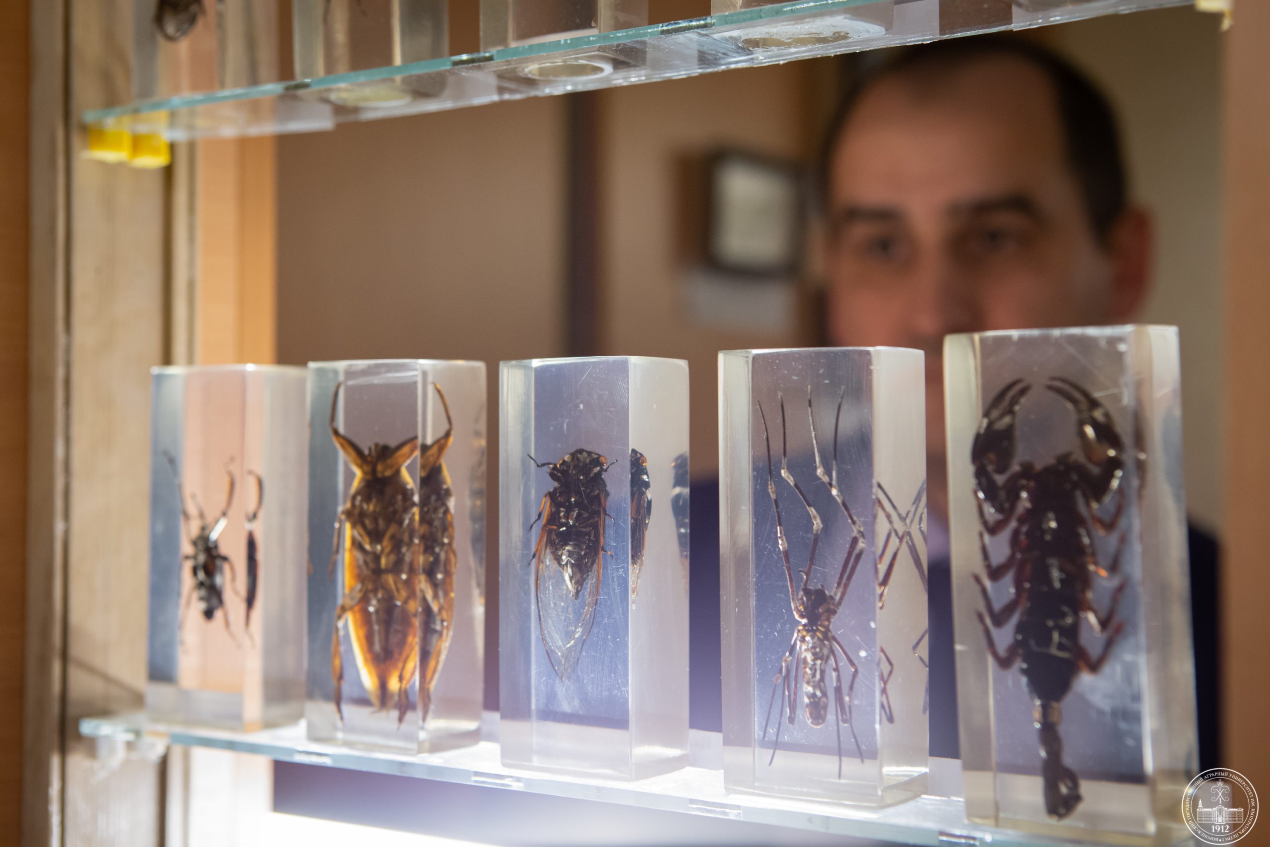 ВО ВГАУ ПРОШЛО ОТКРЫТИЕ УНИКАЛЬНОЙ ЭНТОМОЛОГИЧЕСКОЙ КОЛЛЕКЦИИ