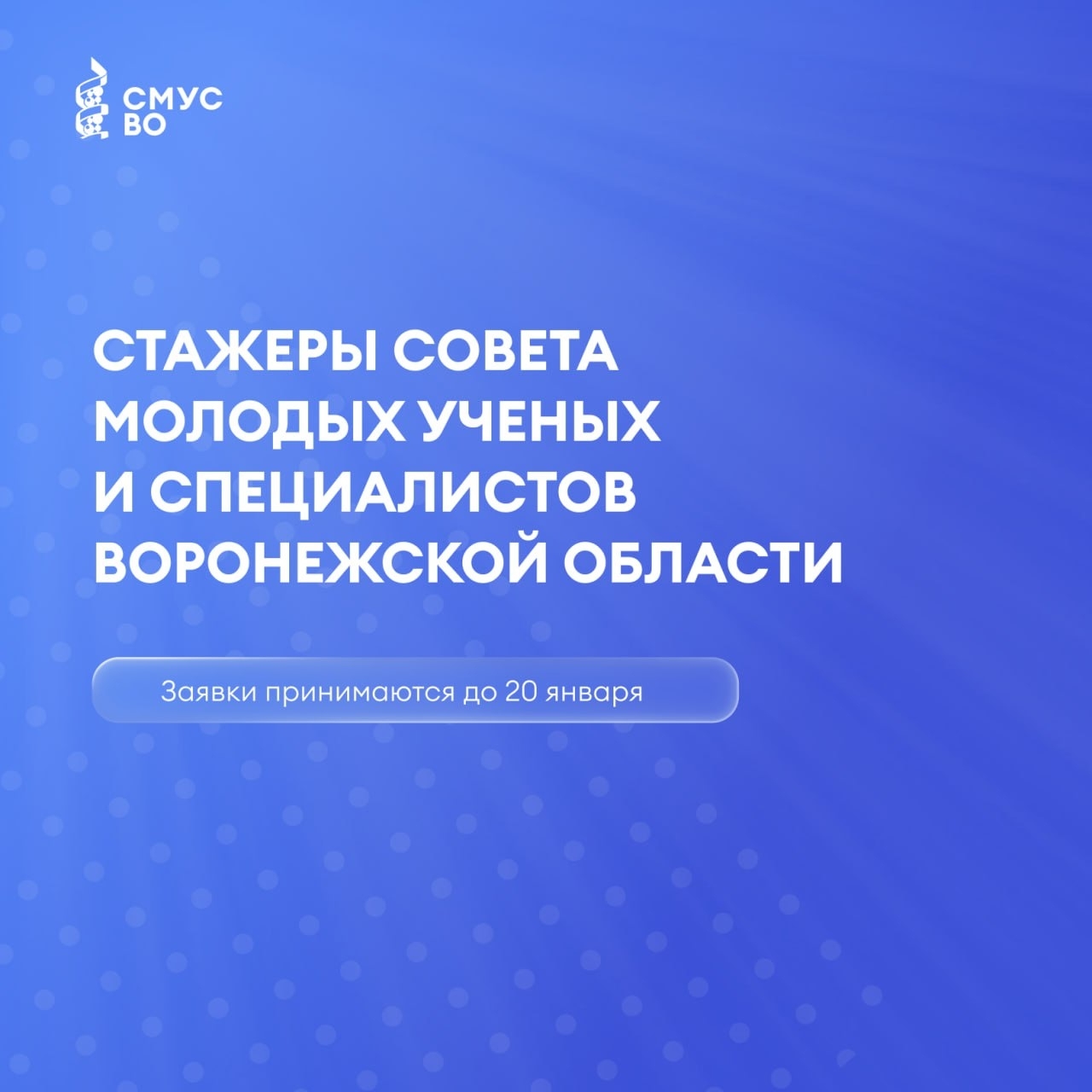 СТАЖЕРЫ СОВЕТА МОЛОДЫХ УЧЕНЫХ И СПЕЦИАЛИСТОВ ВОРОНЕЖСКОЙ ОБЛАСТИ