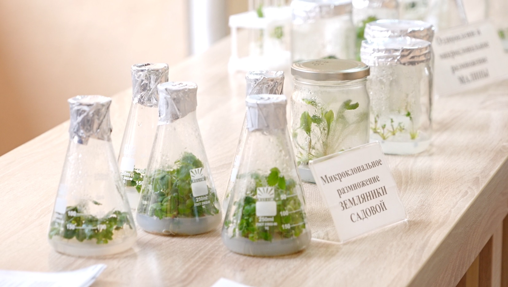 ВОРОНЕЖСКИЙ АГРАРНЫЙ УНИВЕРСИТЕТ ПРЕДСТАВИЛ СВОИ ДОСТИЖЕНИЯ НА ДНЕ НАУКИ