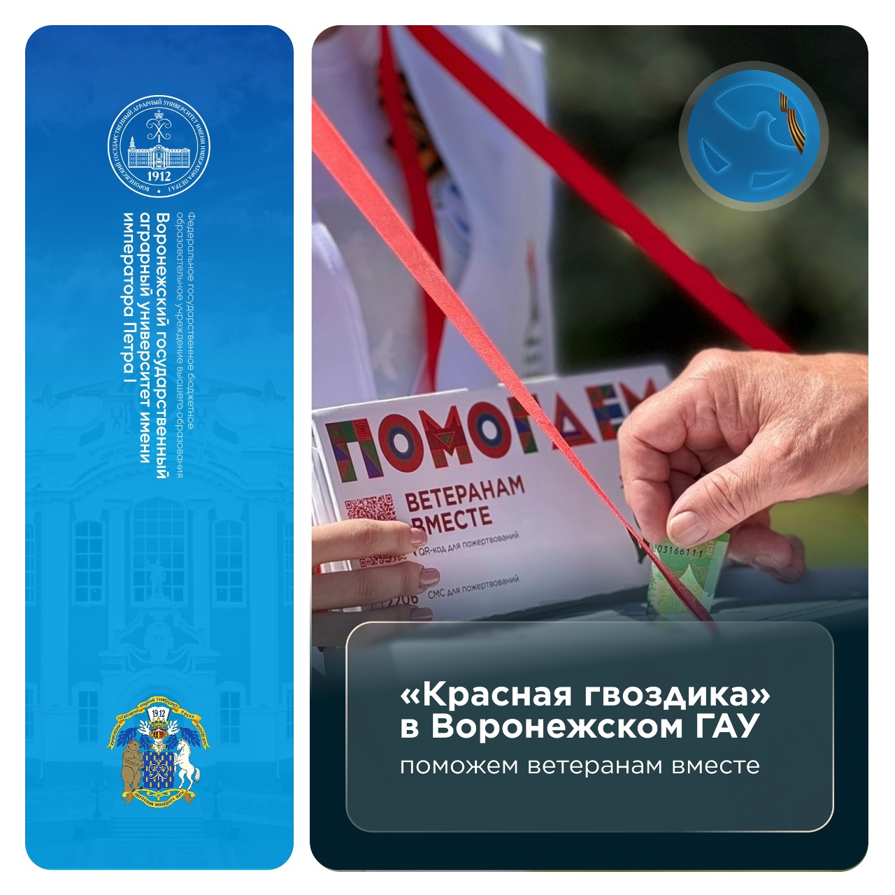«КРАСНАЯ ГВОЗДИКА» В ВГАУ: ПОМОЖЕМ ВЕТЕРАНАМ ВМЕСТЕ