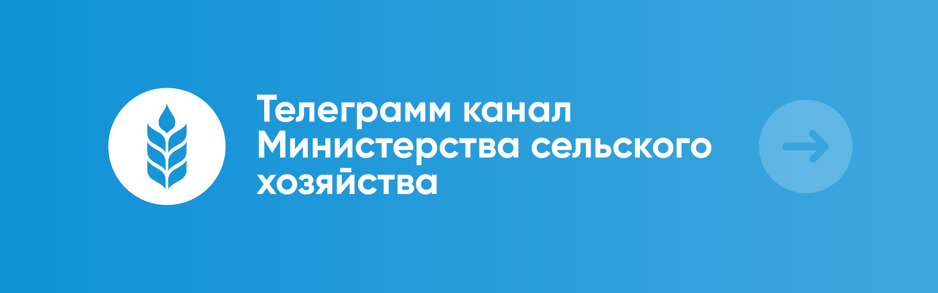 Актуальное изображение